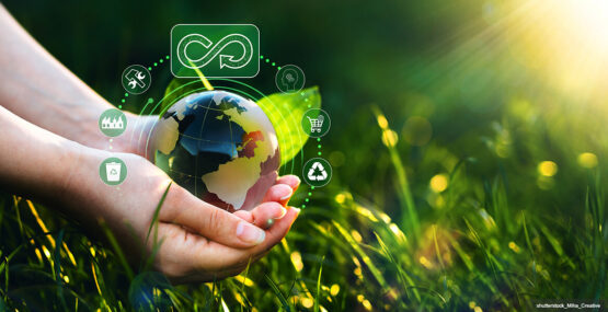 MS_NachhaltProdEnt_05_25_0000_Header-1-555x285 Header  