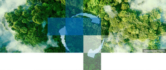 ZK_SustainDirWeb_03_25_0000_Newsletter_Header-4-555x236 ZK_SustainDirWeb_03_25_0000_Newsletter_Header-4.jpg  